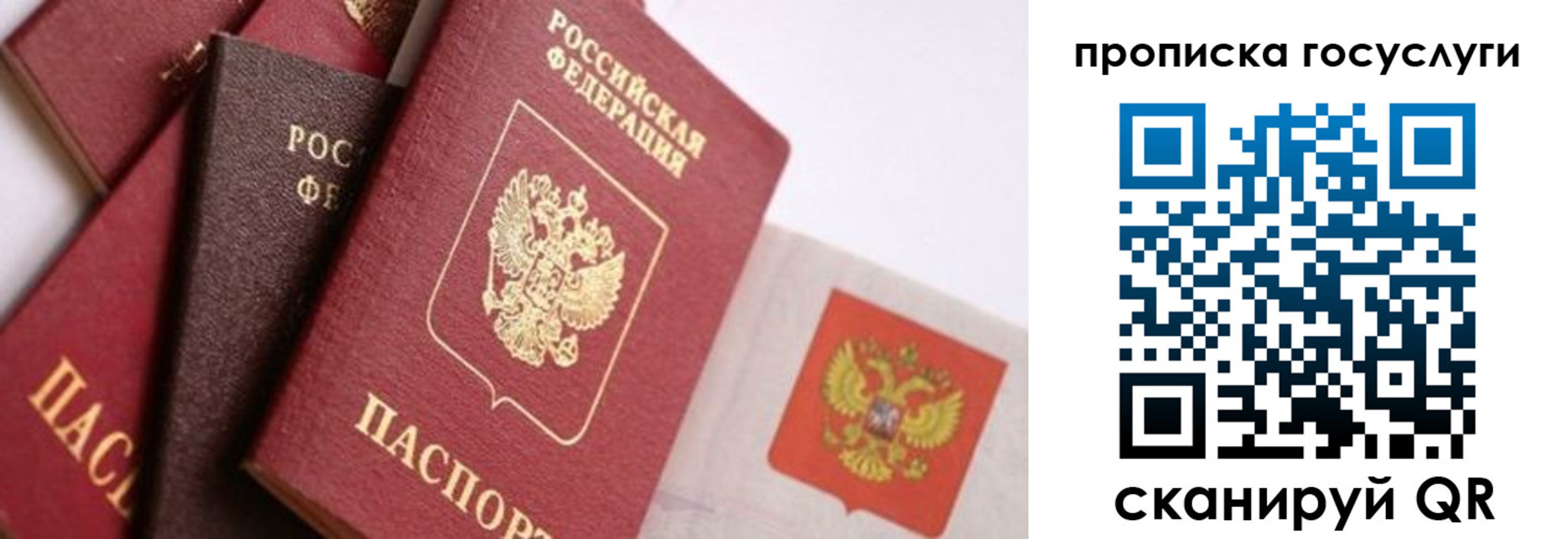 прописка законно в Суздали